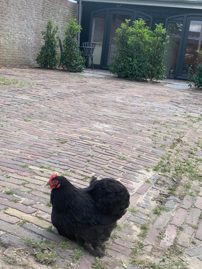 Apartmán Het Dijkje Utrecht Exteriér fotografie